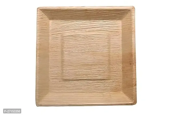 Classic Natural And Biodegradable Areca Leaf Disposable Square Plate,Pack Of 25