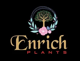 ENRICH PLANTS :: Cactus:: Natural Live Plant :: Plastic Pot :: Air Purifying :: Home Decor Plant ::-thumb1