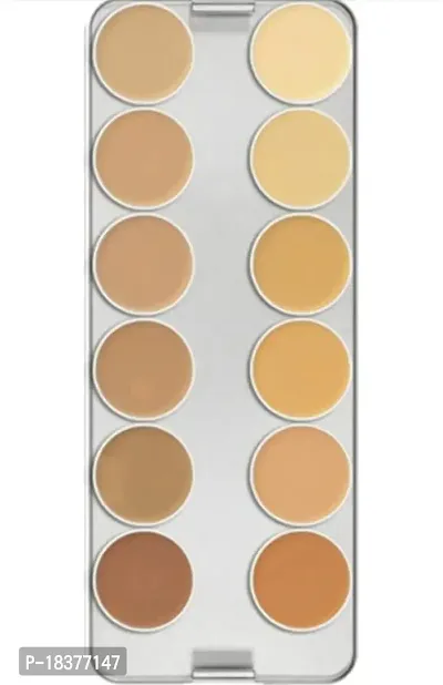 FOZZBY Pro Cover  Conceal Supra Base Palette, Face Makeup, Foundation Palette, Multi Color, 28 g