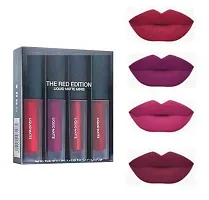 4X1 MATTE RED LIQUID LIPSTICK + FIXER 100ML FOR MAKEUP-thumb2