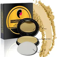 Adbeni Oil Control Compact Pressed Powder, Biege (CP02)-thumb4