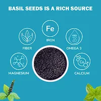 NutroVally Basil Seeds for Weight Loss 200gm| Sabja Seeds for Eating Loaded with Anti-Oxidants  Omega-3 | Enhance overall Health | Premium Quality Tukhmariya Seeds Diet Foods-thumb2