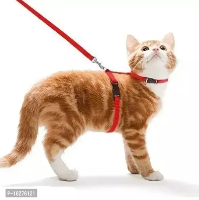 Latest cat collars adjustable yes collar type