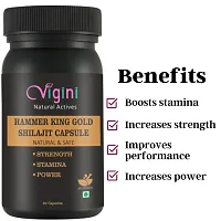 Vigini Plus 100% Natural Actives Hammer King Gold Shilajit Ling Long Penis Enlargement Performance Power Energy Sexual Stamina Capsules Effective Libido Testosterone Booster Sperm Increase-thumb3