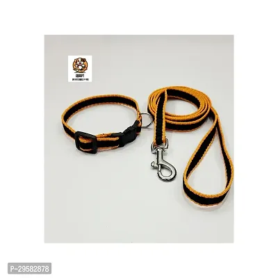 dog collar and leash