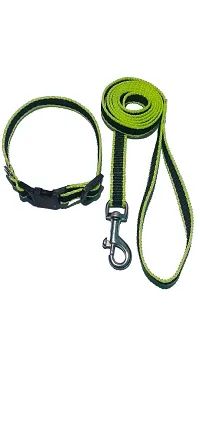 Top selling Dog color chain leash muzzle