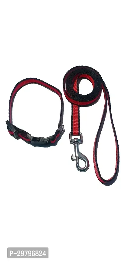 Dog Collar and Leash for Puppy-thumb0