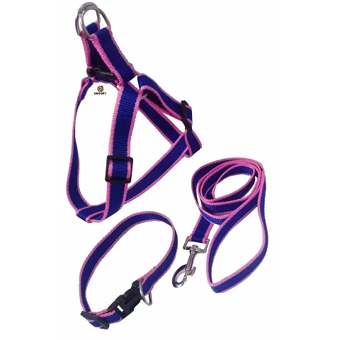 Top selling dog leash collar combo