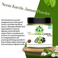 Neem Karela Jamun Powder for Sugar Control-thumb3