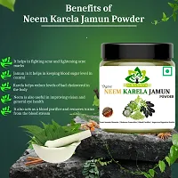 Neem Karela Jamun Powder for Sugar Control-thumb1