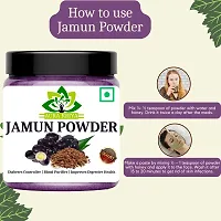 Jamun Seed Powder for Diabetes | Jamun Powder - Manage Your Blood Sugar Level-thumb2