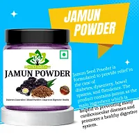 Jamun Seed Powder for Diabetes | Jamun Powder - Manage Your Blood Sugar Level-thumb3