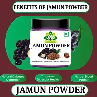 Jamun Seed Powder for Diabetes | Jamun Powder - Manage Your Blood Sugar Level-thumb4