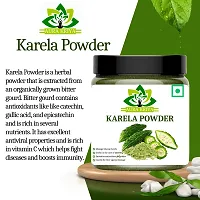 Karela Powder for Diabetes | Karela Powder - Manage Your Blood Sugar Level (100G)-thumb3