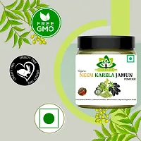 Karela Jamun Neem Powder for Sugar Control 100gm-thumb2