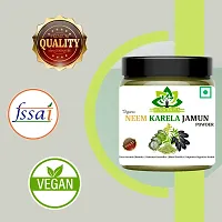 Karela Jamun Neem Powder for Sugar Control 100gm-thumb4