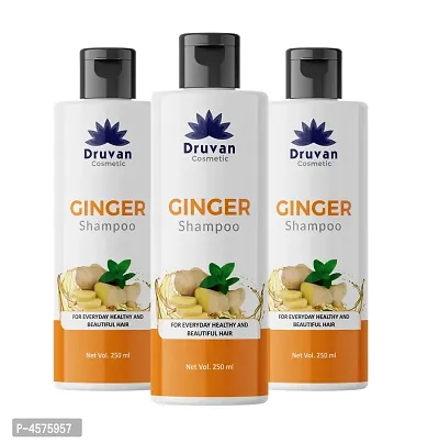 Ginger Shampoo For Hair Growth - Pack Of 3 (250 ml)
