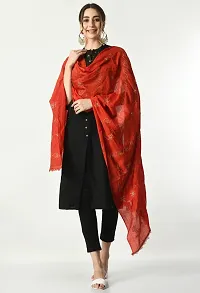 Classic Printed Nazeen Dupatta for Women-thumb4