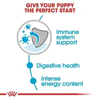 Royal Canin Mini Puppy Dog Wet Food 85g Pack of 12-thumb3