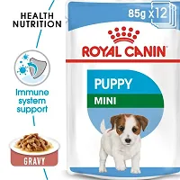 Royal Canin Mini Puppy Dog Wet Food 85g Pack of 12-thumb4