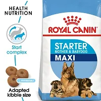 Royal Canin Maxi Starter for Large Breed Mother  Puppy Dog Dry Food 1Kg-thumb1