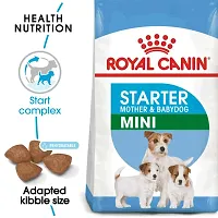 Royal Canin Mini Starter for Small Breed Mother  Puppy Dog Dry Food 1Kg-thumb1