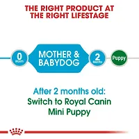 Royal Canin Mini Starter for Small Breed Mother  Puppy Dog Dry Food 1Kg-thumb3