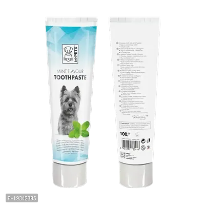 M-Pets Toothpaste 100ml Mint Flavor For Dogs-thumb0