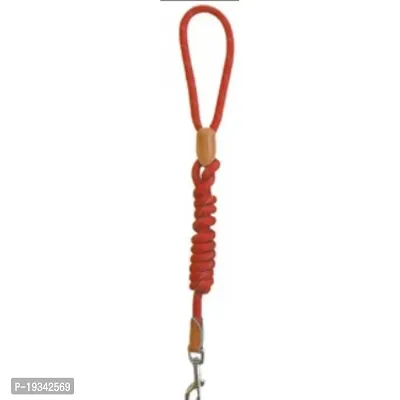 M-Pets Reflecto Leash for Dogs Color Assorted