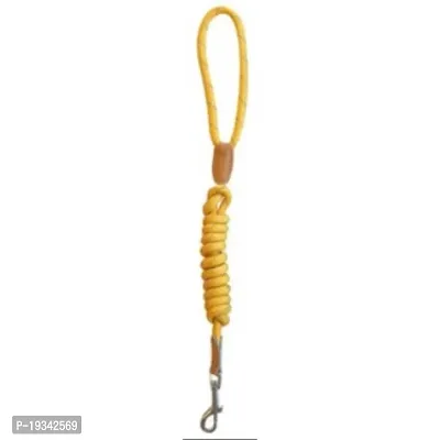 M-Pets Reflecto Leash for Dogs Color Assorted-thumb2