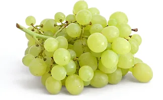 Classic Grapes Sweet Hybrid Plant-thumb3