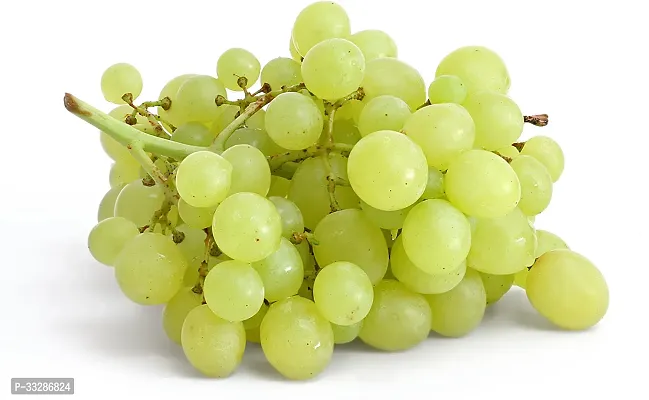 Classic Grapes Sweet Hybrid Plant-thumb4