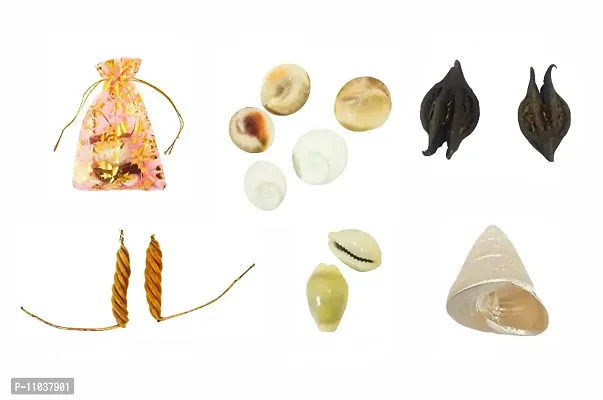 Pooja Ghar Devi Sri Guru ji Kit- Devil's Pod Nazar Kit- 2 Pcs Bala MUDI Yeda MUDI- 1 Pc, Gomti Chakra -05 Pcs, Laxmi Gavvulu-2 Pcs,Free Pouch-1 Pc (11 Pieces, Multi Color).