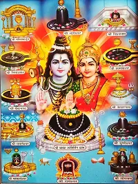 Pooja Ghar Religious Lord Shiva Shankar 12 Jyotirlingas Photo Frame for Temple Home Office (10x12.5 inches, Multicolour)-thumb2