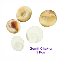 Pooja Ghar Devi Sri Guru ji Kit- Devil's Pod Nazar Kit- 2 Pcs Bala MUDI Yeda MUDI- 1 Pc, Gomti Chakra -05 Pcs, Laxmi Gavvulu-2 Pcs,Free Pouch-1 Pc (11 Pieces, Multi Color).-thumb3