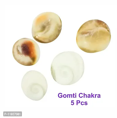 Pooja Ghar Devi Sri Guru ji Kit- Devil's Pod Nazar Kit- 2 Pcs Bala MUDI Yeda MUDI- 1 Pc, Gomti Chakra -05 Pcs, Laxmi Gavvulu-2 Pcs,Free Pouch-1 Pc (11 Pieces, Multi Color).-thumb4