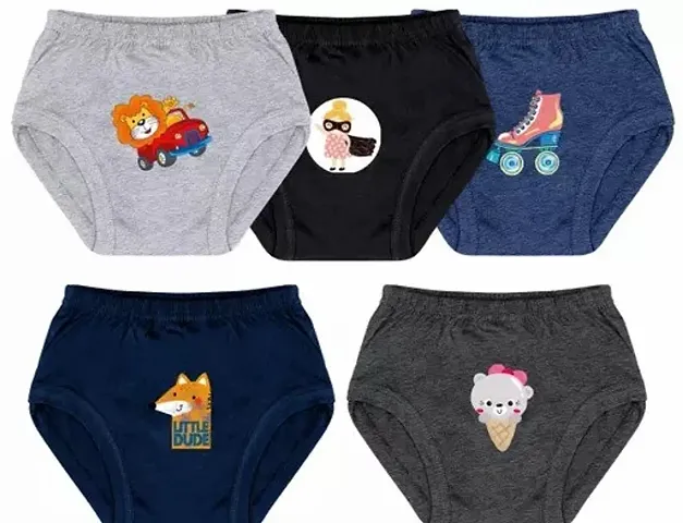 Stylish Panty For Girls Pack Of 5