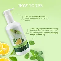 Tea Tree, Lemon  Mint Shower Gel For Skin Purification - 300 ML-thumb2