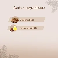 Cedarwood 100% Natural  Organic Pure Essential Oil- 10 ML-thumb3