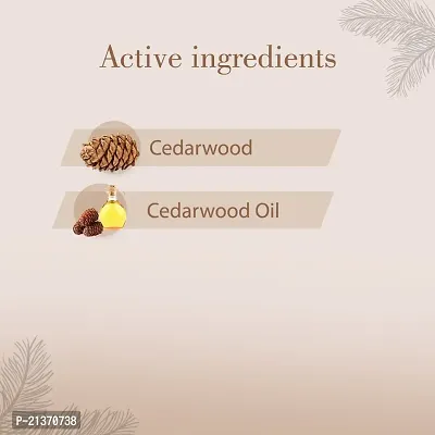 Cedarwood 100% Natural  Organic Pure Essential Oil- 10 ML-thumb4