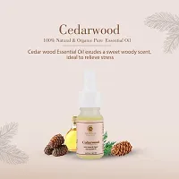 Cedarwood 100% Natural  Organic Pure Essential Oil- 10 ML-thumb4