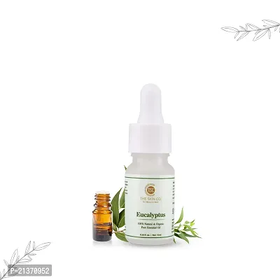 Eucalyptus 100% Natural  Organic Pure Essential Oil - 10 ML