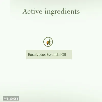 Eucalyptus 100% Natural  Organic Pure Essential Oil - 10 ML-thumb2