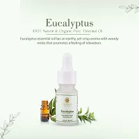 Eucalyptus 100% Natural  Organic Pure Essential Oil - 10 ML-thumb2