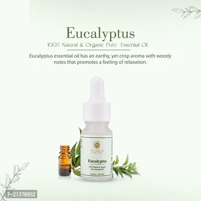 Eucalyptus 100% Natural  Organic Pure Essential Oil - 10 ML-thumb3