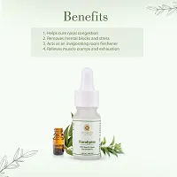 Eucalyptus 100% Natural  Organic Pure Essential Oil - 10 ML-thumb4