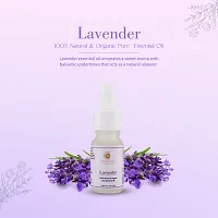 Lavender 100% Natural  Organic Pure Essential Oil- 10 ML-thumb1