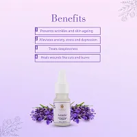 Lavender 100% Natural  Organic Pure Essential Oil- 10 ML-thumb3