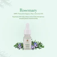 Rosemary 100% Natural  Organic Pure Essential Oil- 10 ML-thumb1