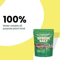 Best Quality Epsom Salt Magnesium Sulfate For Speed Up Plant Growth Vegetables  Plants Nutrient (1 Kg)-thumb1